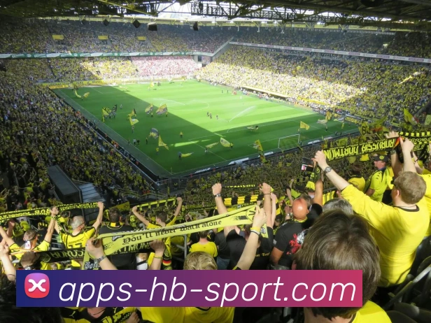 黑白体育平台生态图